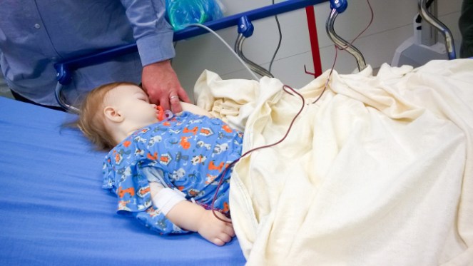 Pastel Carousel - Family and Parenting - Milk Can Inhibit Iron and Cause Anemia