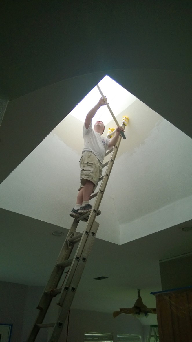 Pastel Carousel - Family - House Hunting - Cosmetic Renovation