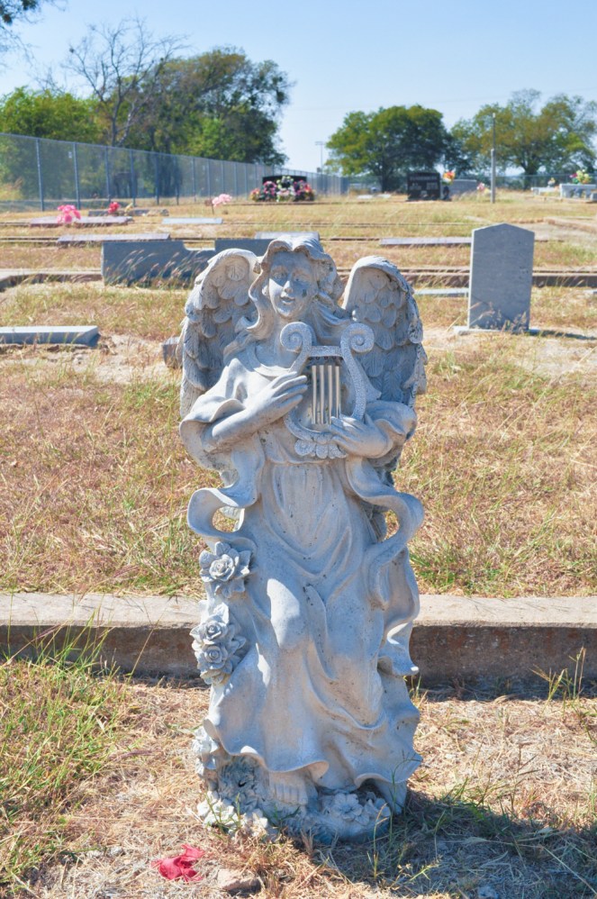 Pastel Carousel - Halloween Outfit - Day of the Dead - Sugar Skulls