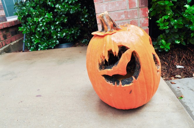 Pastel Carousel | Family at the Pumpkin Patch | Pumpkin Seed Recipe