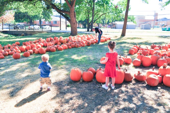 Pastel Carousel | Family at the Pumpkin Patch | Pumpkin Seed Recipe