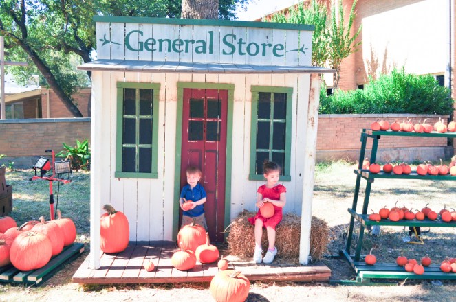 Pastel Carousel | Family at the Pumpkin Patch | Pumpkin Seed Recipe