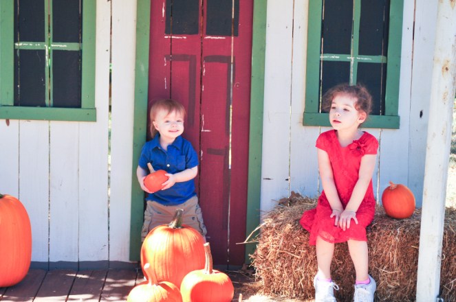 Pastel Carousel | Family at the Pumpkin Patch | Pumpkin Seed Recipe